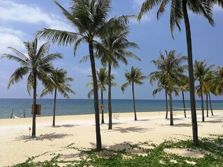 Fototapeta na wymiar White sand beach with tall palm trees on Phu Quoc island in Vietnam