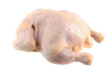Fresh raw chicken or broiler chicken. Isolated on a white background. Clipping path.
