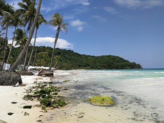 Phu Qoc island beach with white sand and palms in Vietnam