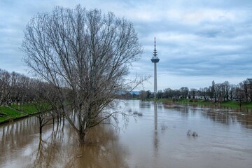  Bäume im Wasser, Hochwasser in Mannheim Germany, Hochwasserabsperrung, Trees in the water, flood...