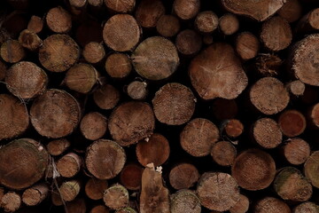 Fototapeta premium Holzstapel 2020