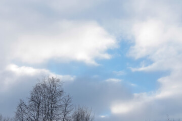 There are bare trees against a blue sky. February, 05.2021.