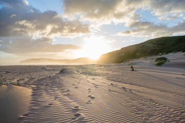Strand auf der Robberg-Halbinsel bei Plettenberg in Südafrika