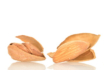 Two nuts of unpeeled dried almonds, close-up, isolated on white.