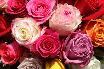 Bouquet of wonderful different colored Roses