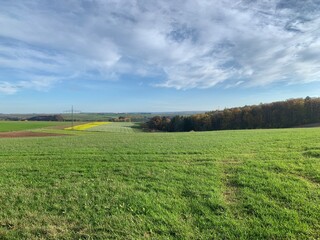 Obraz premium field and blue sky