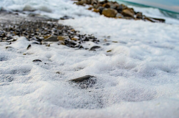 Thick sea foam and rocks