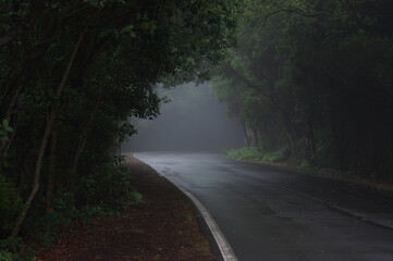 Parque rural de Anaga, Tenerife. Islas Canarias.
