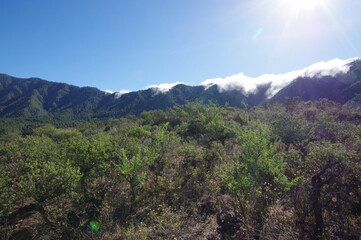 Obraz premium Paisajes de La Palma, islas canarias