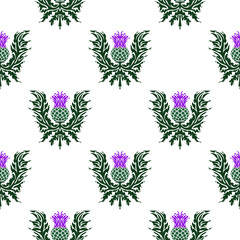 Fototapeta na wymiar A repeating pattern of thistle, the symbol of Scotland, a sharp flower.