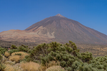 Naklejka premium Tenerife, islas Canarias