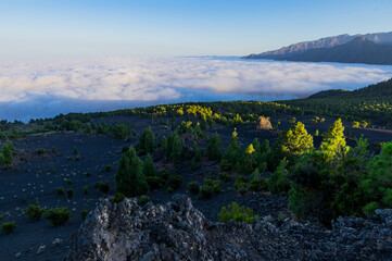 Obraz premium Paisajes de la isla de la Palma, Canarias. España.