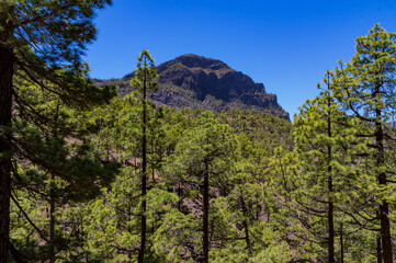 Obraz premium Paisajes de la isla de la Palma, Canarias. España.