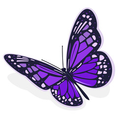 Dark purple butterfly. Vector illustration on a white background.