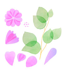 Set of watercolor botanical elements flower petal bud core branch leaves, isolated. Vector illustration
