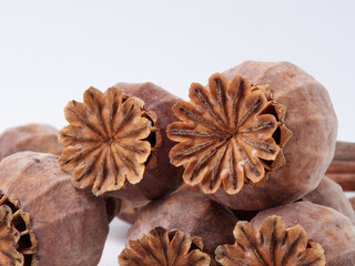 Dried poppy heads and seeds close-up, macro