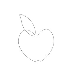 Apple fruit line drawing, vector illustration