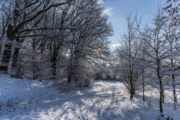 hiking path on a winter morning