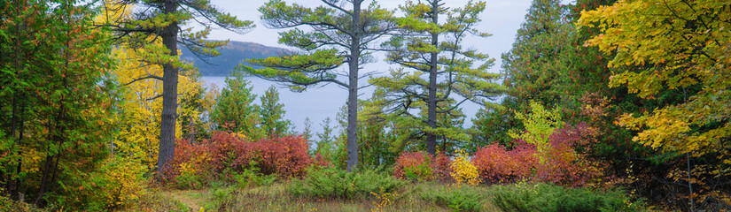 613-68 Three Pines Autumn Pano