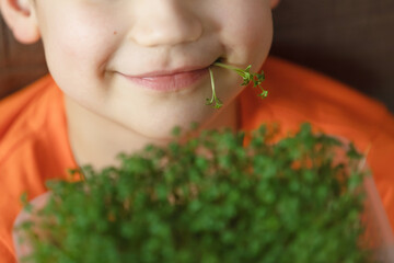 A boy's smiling mouth with cress sprouts. The concept of bioavailable iodine, microgreens, benefits...