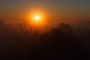 Fototapeta na wymiar Sunrise over the misty river