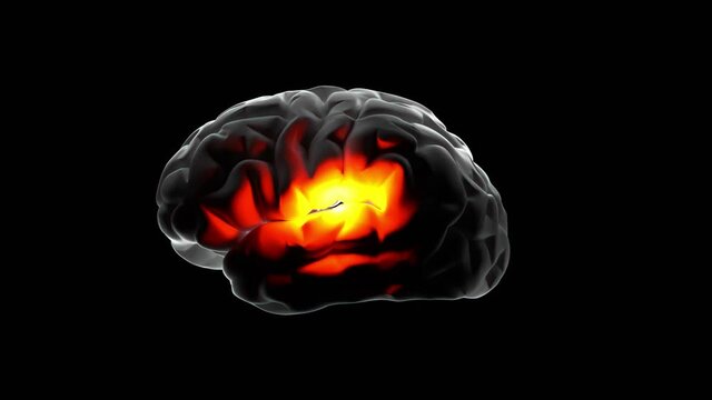 Human brain on black isolated background, glowing red pain. Concept of health and illness in stroke, stress, headache, depression, Alzheimer, brain cancer. Brainstorming thought idea, 3d design.