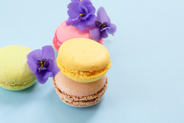 Colorful almond macarons and purple flowers on blue background