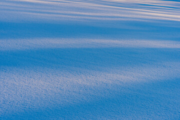 Winter light on the snow of a field.