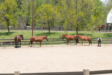 Watchung Reservation New Jersey