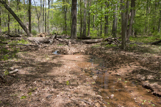 Watchung Reservation New Jersey