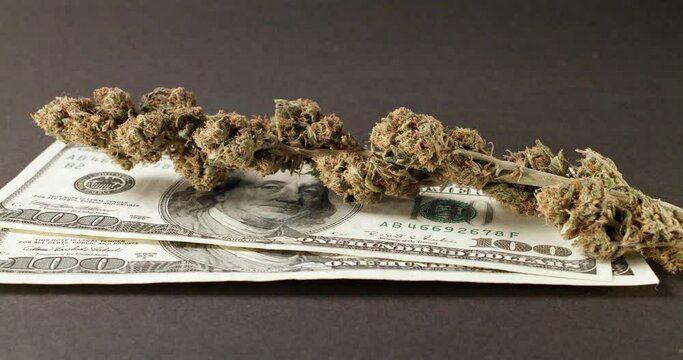 Weed and Cannabis on top of One Hundred Dollar Banknote. Buying Drugs in USA.