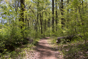Watchung Reservation New Jersey