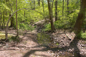Watchung Reservation New Jersey