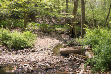 Watchung Reservation New Jersey