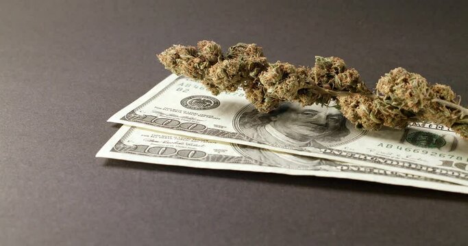 Marijuana and Cash, purchase of Drugs and Medicine. Dollar Bills and Weed
