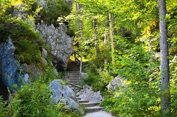 Stone steps of a hiking trail lead along large rocks up through the forest.