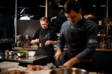 view on young attractive woman chefs in restaurant kitchen preparing dish.