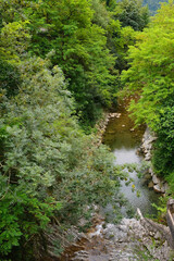 Fototapeta premium The Susica River as it flows through the village of Selisce in the Tolmin municipality of Primorska in Slovenia 