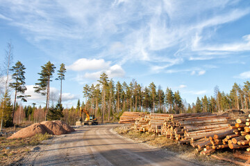 Fototapeta premium Yellow excavator building a road deep in the forest. Rusko, Finland.