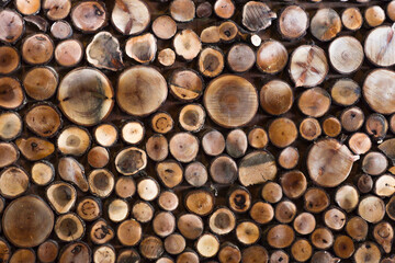 Felled tree trunks, Stack of Wood Stumps, Wooden background. Copy Space.