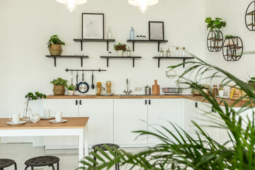 spacious studio apartment decorated with wood and white. Minimalist design with huge windows in the sunlight. kitchen area and living area