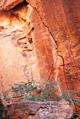 Sandstone wall close-up, Valley of Fire
