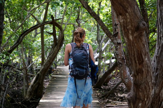 a hiker in a mangrove forest on Curieuse Island, Seychelles, October