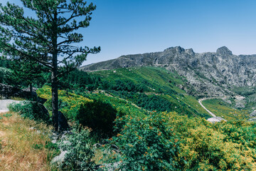 Serra da Estrela Landscape