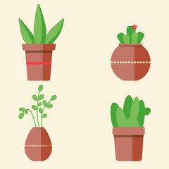 set of plants in pots
