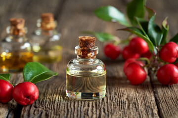 A bottle of essential oil with wintergreen twigs