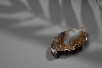 Mineral stone onyx on a gray background in the shade of a leaf