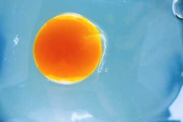 Raw egg with clear white and bright yolk