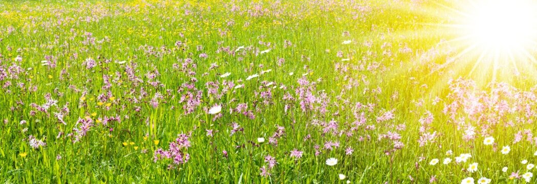 Waldbaden und Entspannung f&uuml;r K&ouml;rper, Geist und Seele