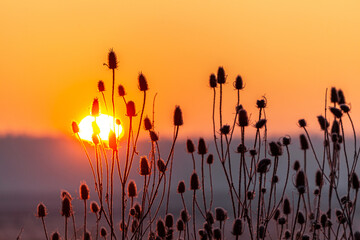 Fototapeta Wschód słońca  obraz